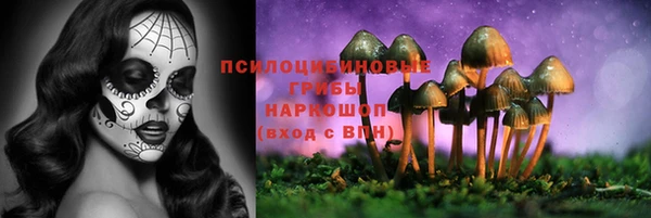ГАЛЛЮЦИНОГЕННЫЕ ГРИБЫ Арсеньев