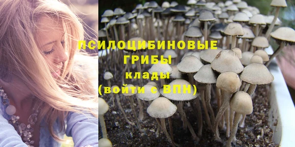 ГАЛЛЮЦИНОГЕННЫЕ ГРИБЫ Арсеньев
