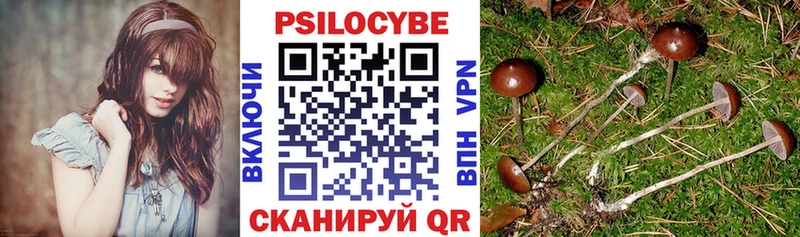 мега рабочий сайт  Фролово  Галлюциногенные грибы GOLDEN TEACHER 