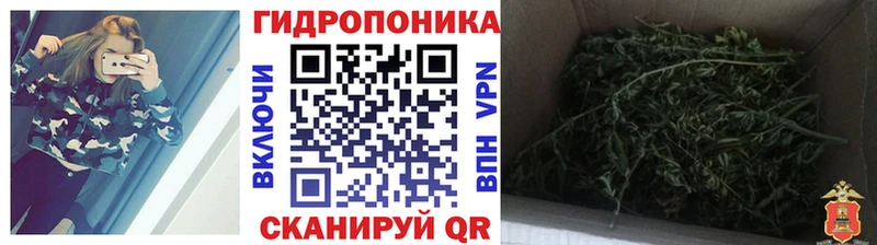Шишки марихуана гибрид  Фролово 